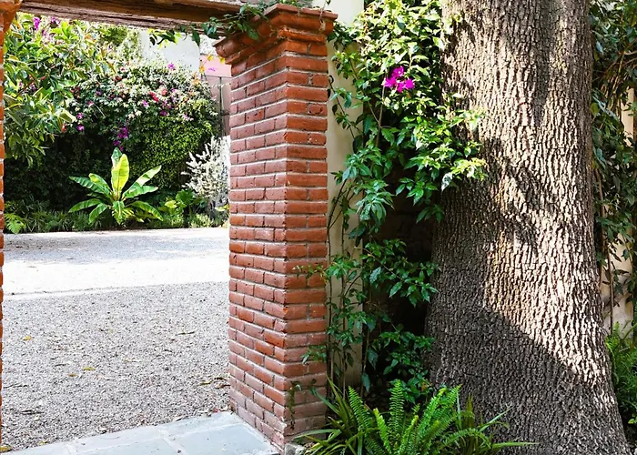 Orchid House Coyoacán